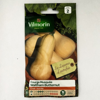 COURGE WALDHAM BUTTERNUT